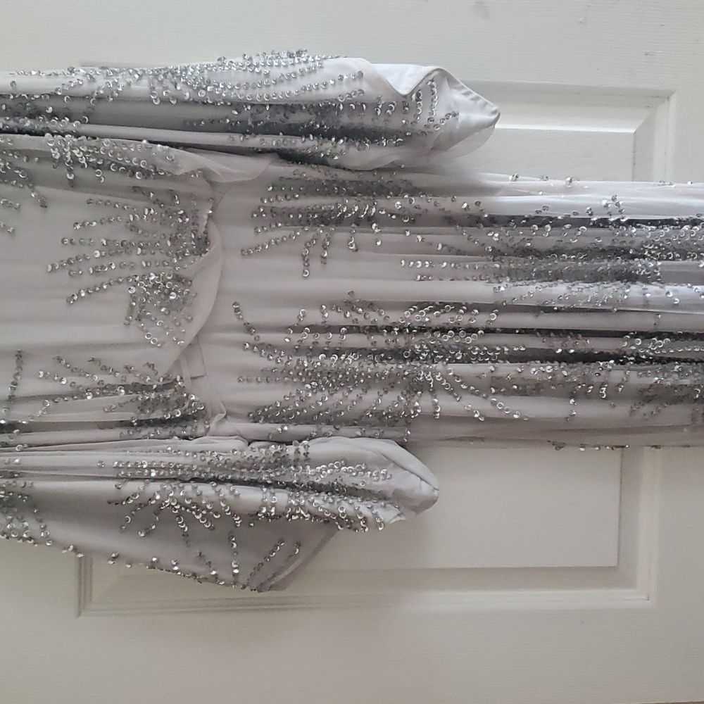 Beautiful Amelia rose dress in silver size 12